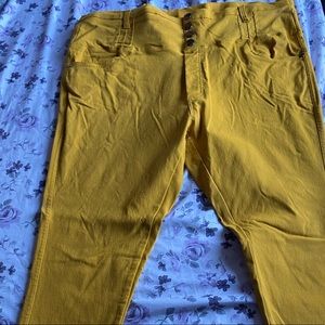 3X Mustard Yellow Strechy Pants